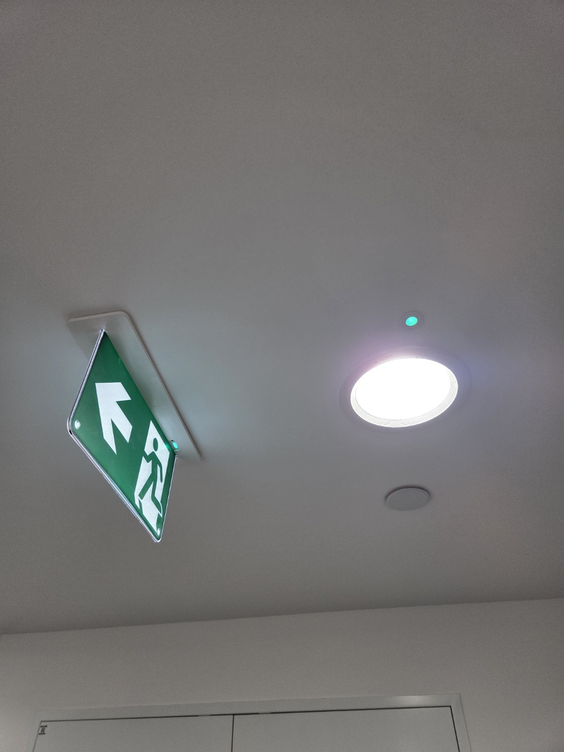 Illuminated emergency exit sign and emergency light fitting